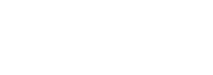 ibsi
